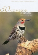 50 Common Birds of the Southwest