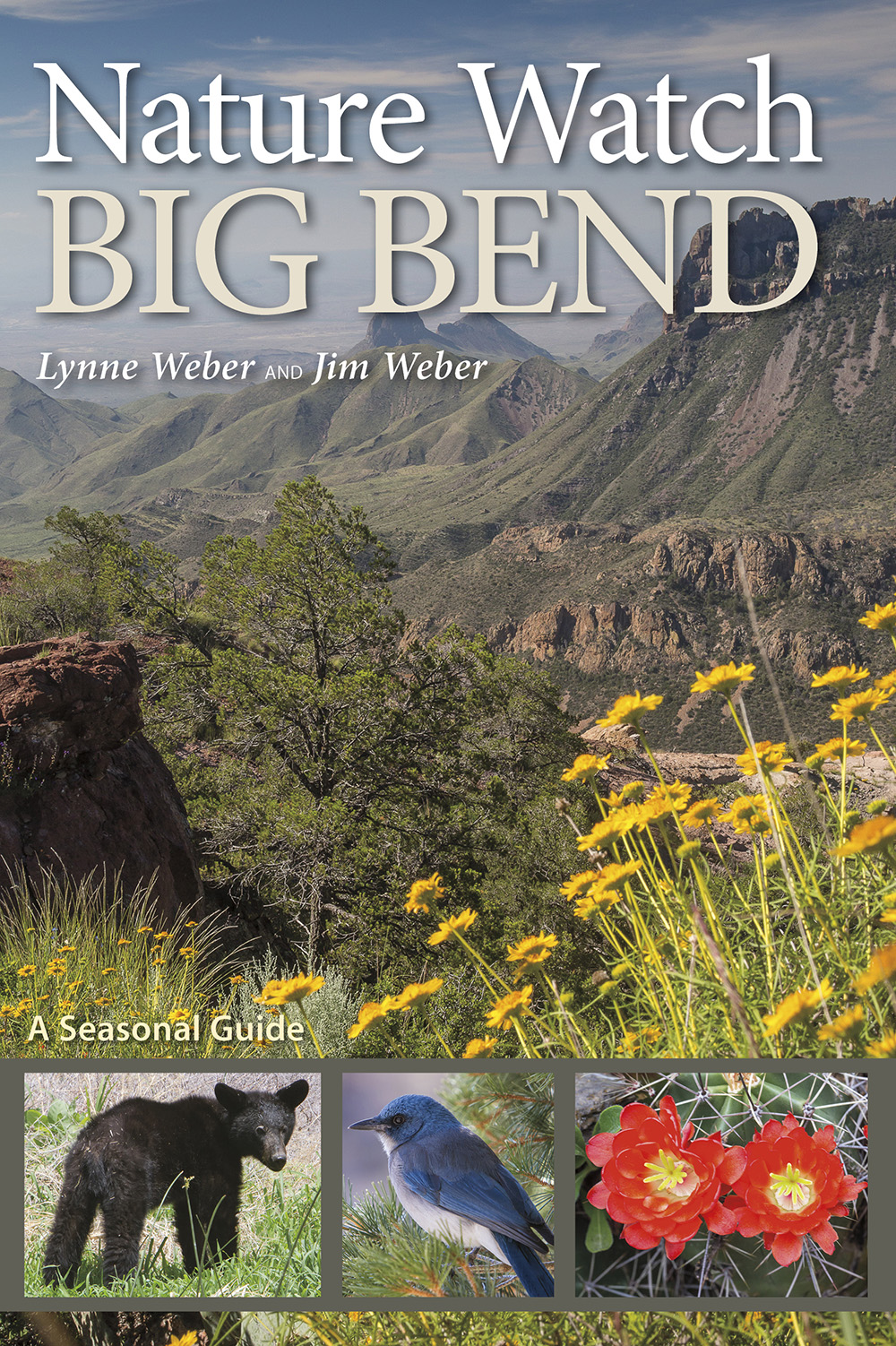 Nature Watch Big Bend