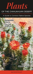 Plants of the Chihuahuan Desert