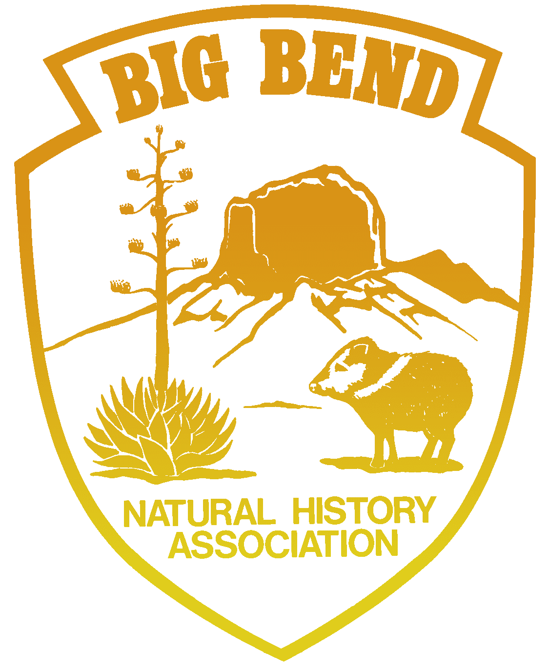 Big Bend National History Association